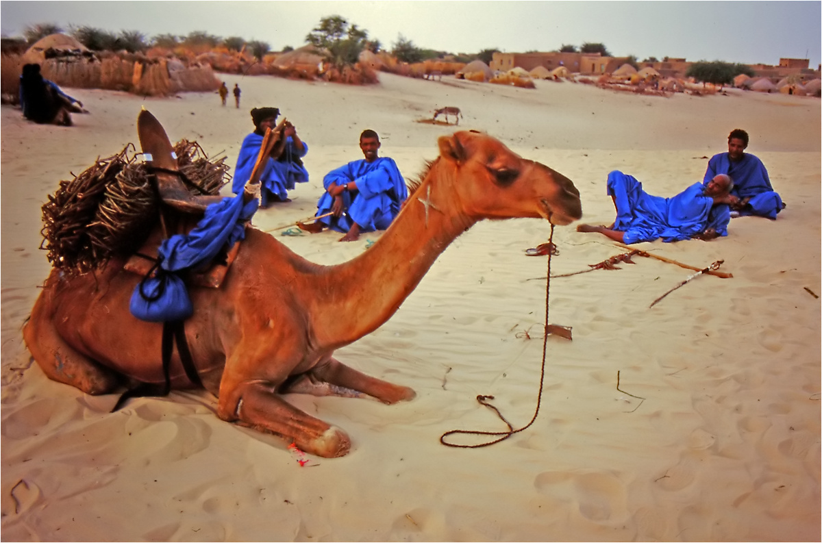 Timbuktu (66) --- Mali - Menschen,Kultur und Landschaften (157)
