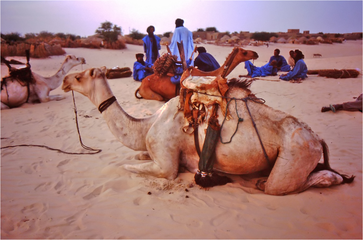Timbuktu (81) --- Mali - Menschen,Kultur und Landschaften (172)