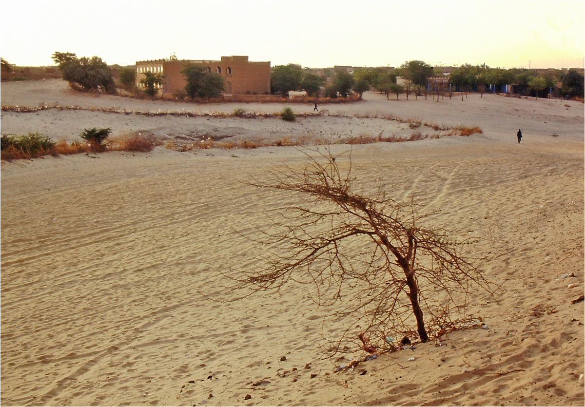 Timbuktu (83) --- Mali - Menschen,Kultur und Landschaften (174)