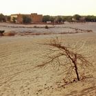 Timbuktu (83) --- Mali - Menschen,Kultur und Landschaften (174)