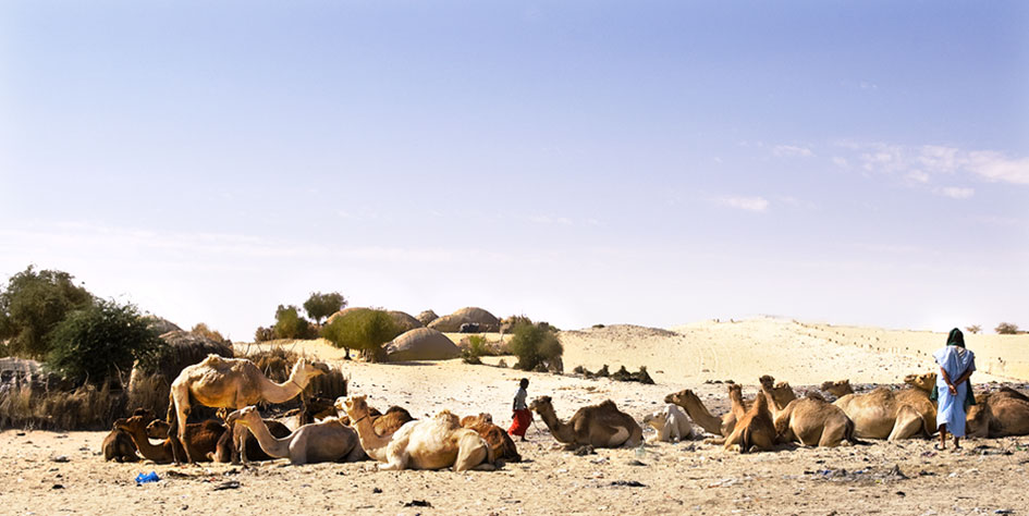 Timbuktu: Karawanen angekommen
