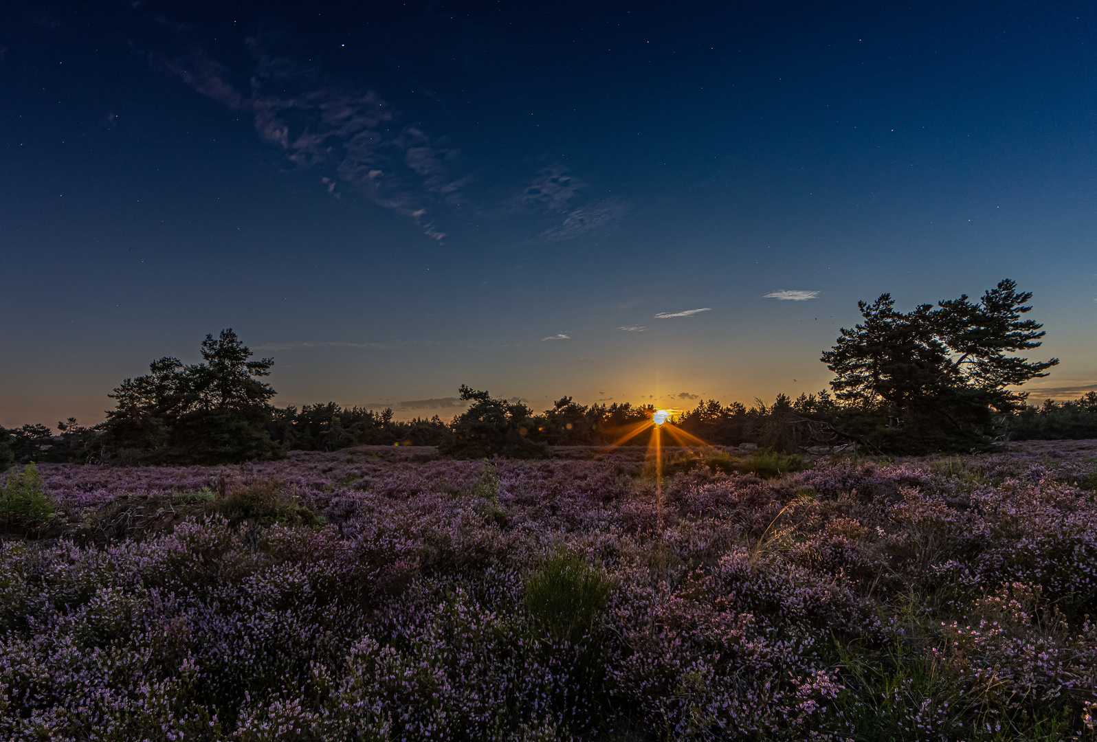 Time blending Mehlinger Heide