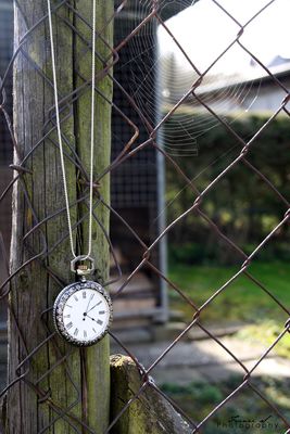 Time goes rolling by