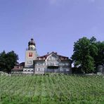 Time Move Image Nr. 68: Schloss Heerbrugg im Frühling