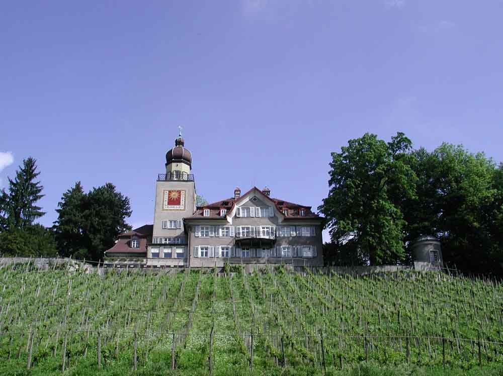 Time Move Image Nr. 68: Schloss Heerbrugg im Frühling