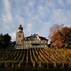 Time Move Image Nr. 68: Schloss Heerbrugg im Herbst