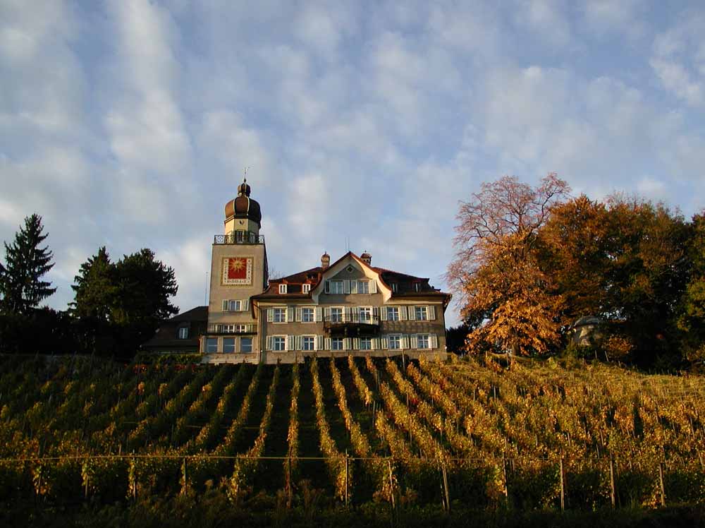 Time Move Image Nr. 68: Schloss Heerbrugg im Herbst