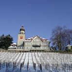 Time Move Image Nr. 68: Schloss Heerbrugg im Winter