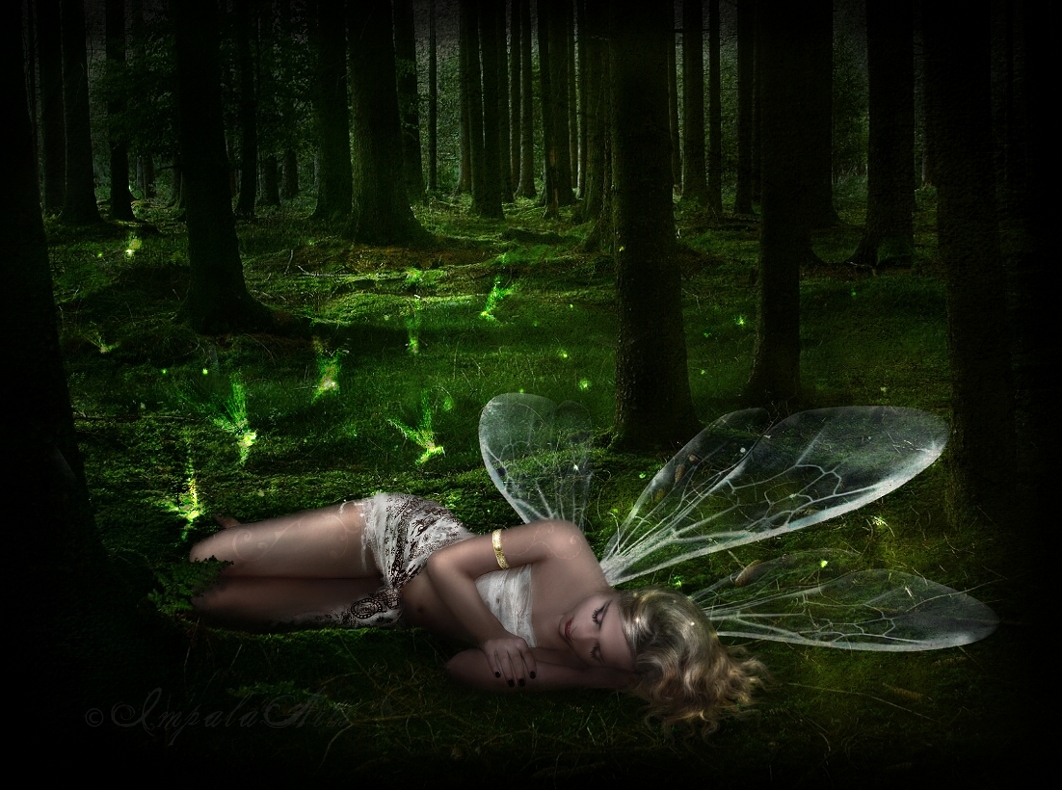 Time of the Faeries