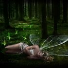 Time of the Faeries