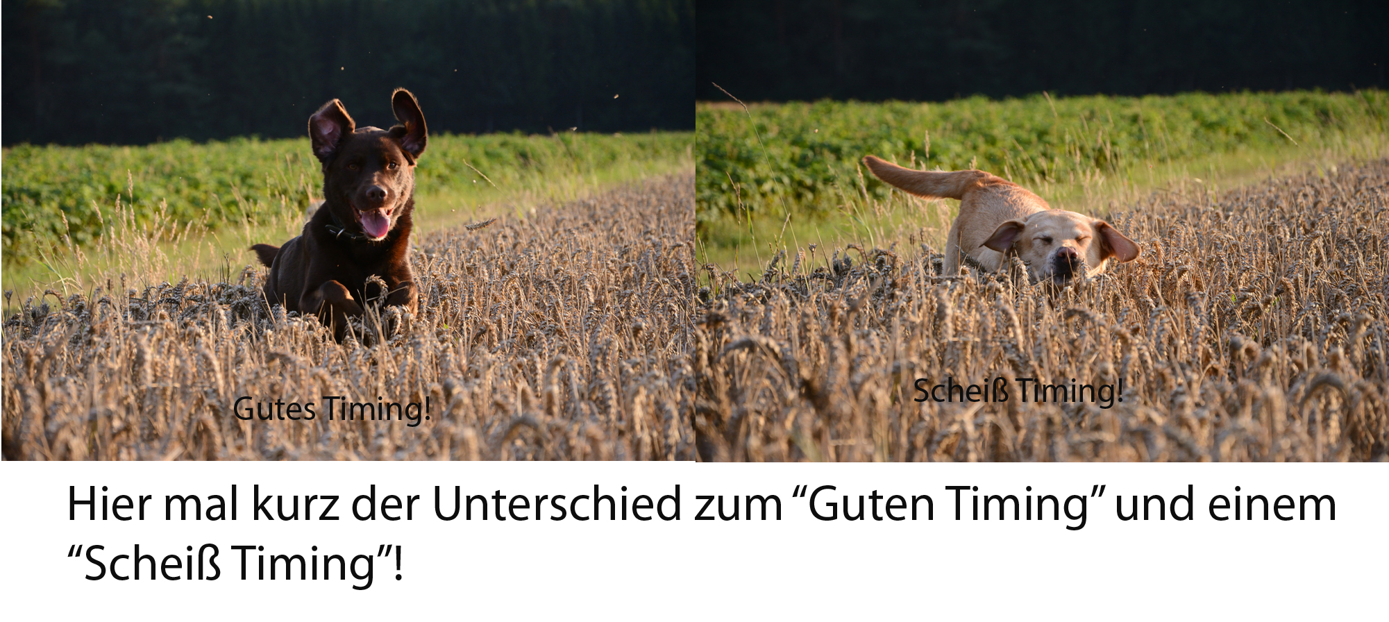 Timing ist alles 