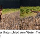Timing ist alles 
