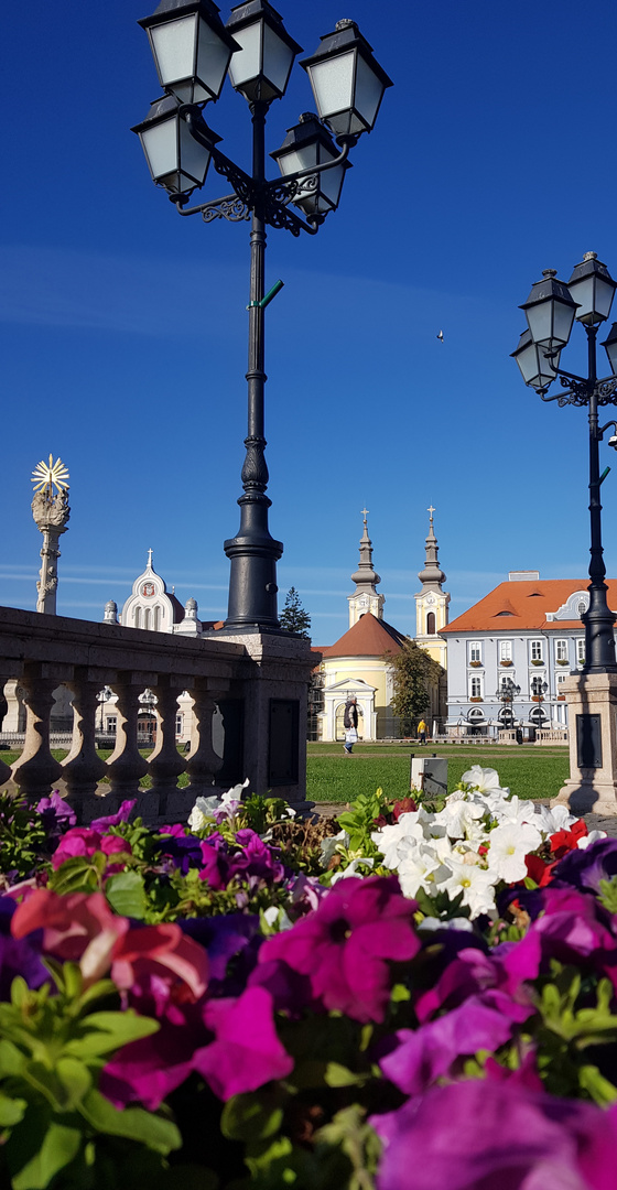 TIMISOARA