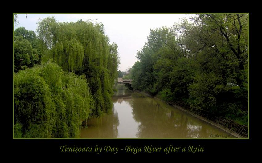 Timisoara by Day - Bega