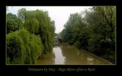 Timisoara by Day - Bega