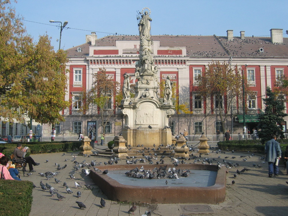 Timisoara -Denkmal des Hl. Johannes von Nepomuk