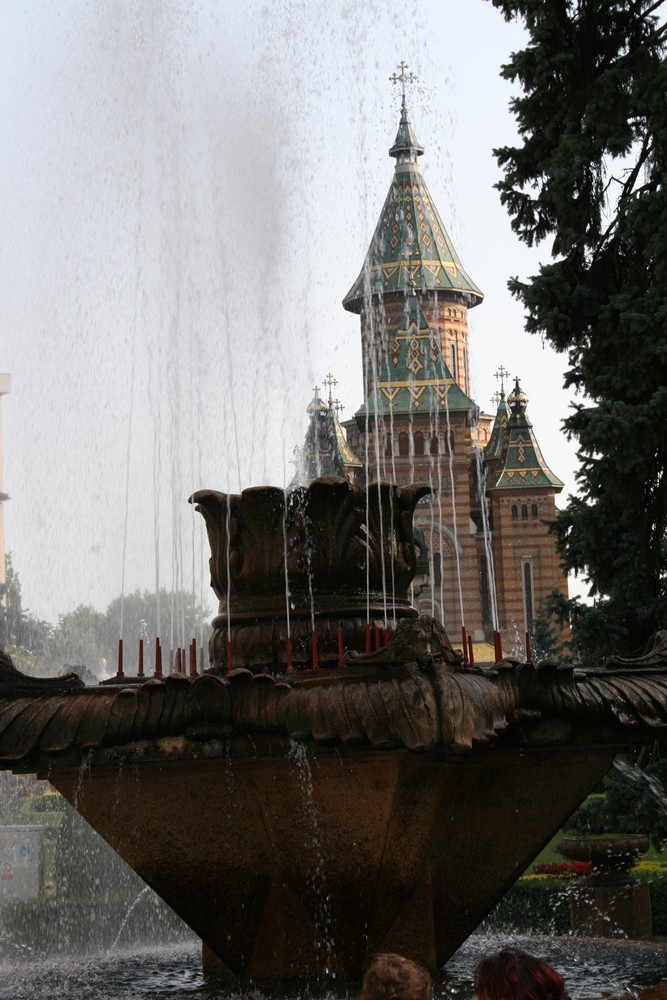 Timisoara ziua...