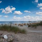 Timmendorfer Strand [08]