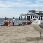 Timmendorfer Strand August 2018