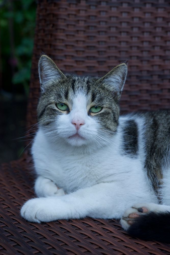 Timmy ist selten zum posieren aufgelegt