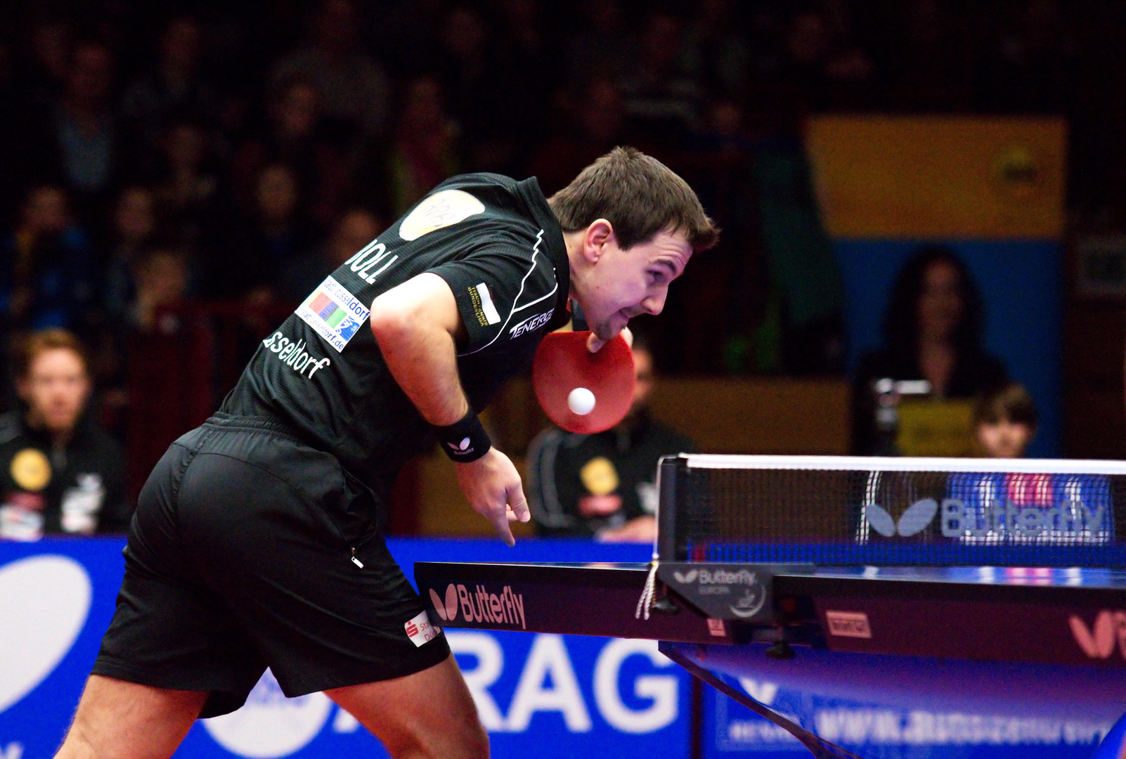 Timo Boll