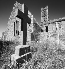 Timoleage Abbey #2 (Cork)