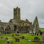 Timoleague Friary - I