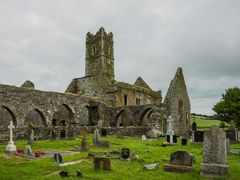 Timoleague Friary - I