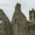 Timoleague Friary - II