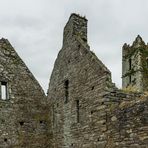 Timoleague Friary - II