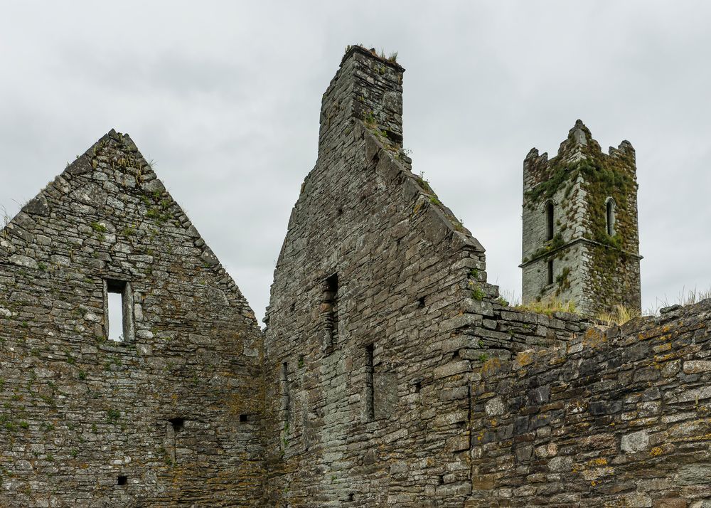 Timoleague Friary - II