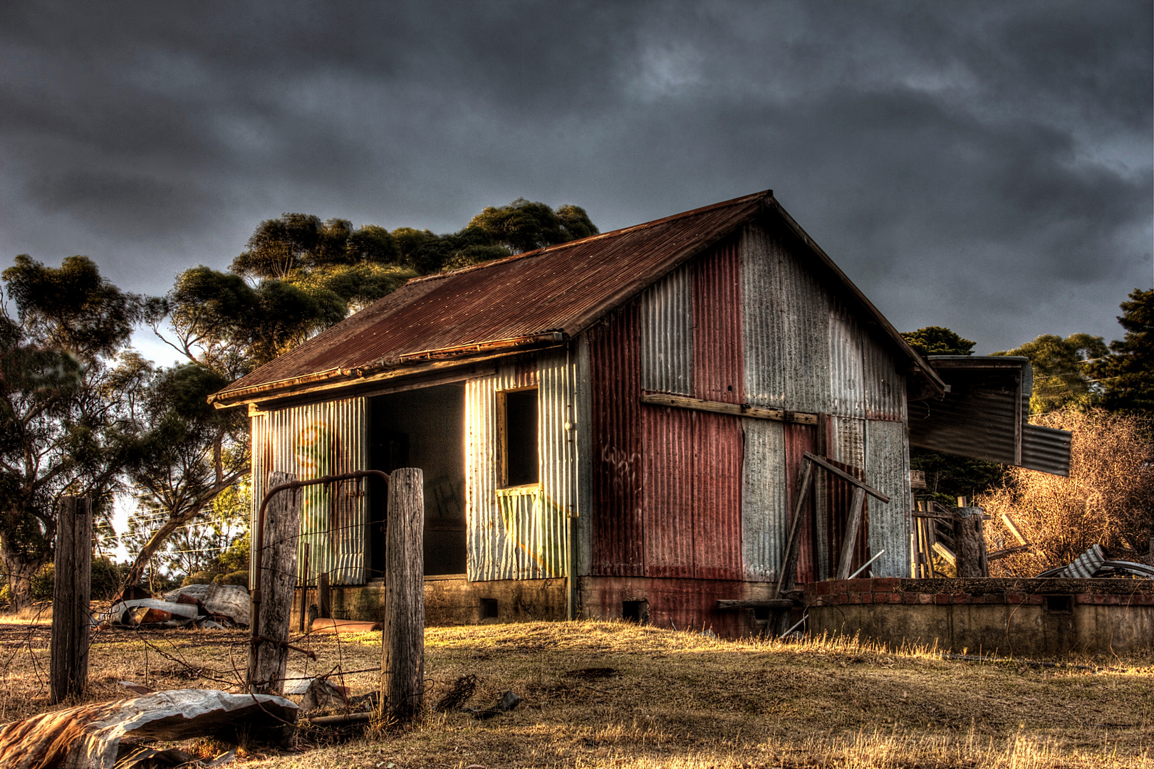 Tin Shed