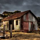 Tin Shed