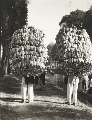 Tina Modotti, Loading bananas, Veracruz, 1927-29