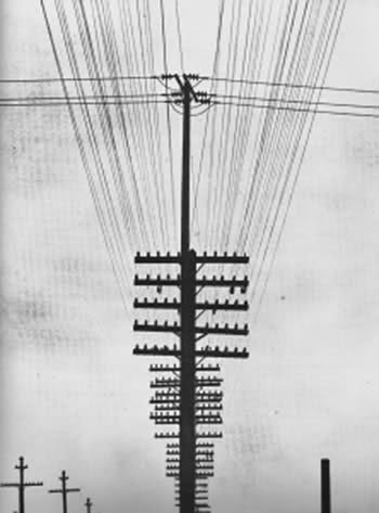 Tina Modotti, Pali del telegrafo, 1924