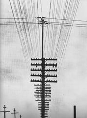 Tina Modotti, Pali del telegrafo, 1924