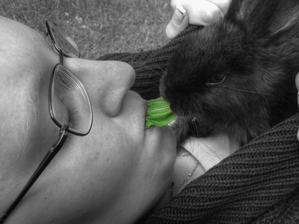 Tina und der kleine Hase