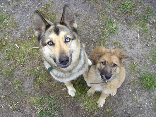 Tina und ihr kleiner Freund