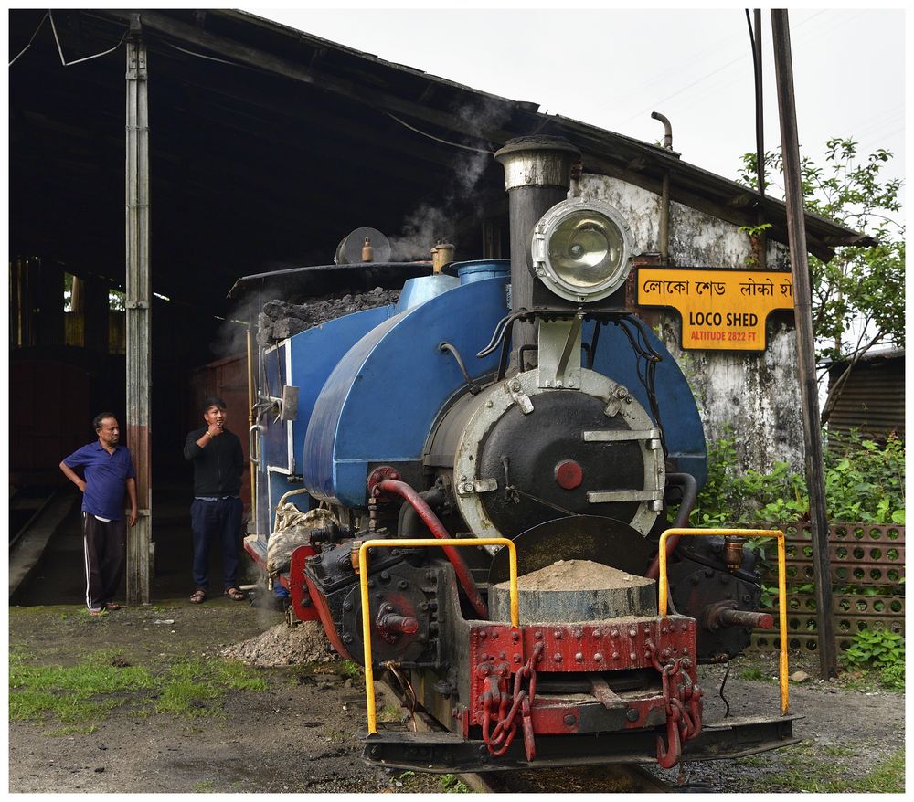 Tindharia Loco Shed