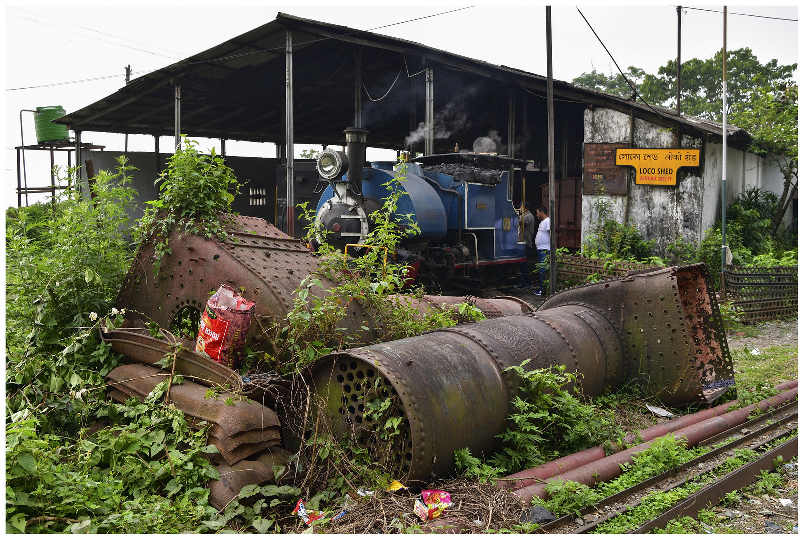 Tindharia Loco Shed II