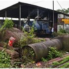 Tindharia Loco Shed II