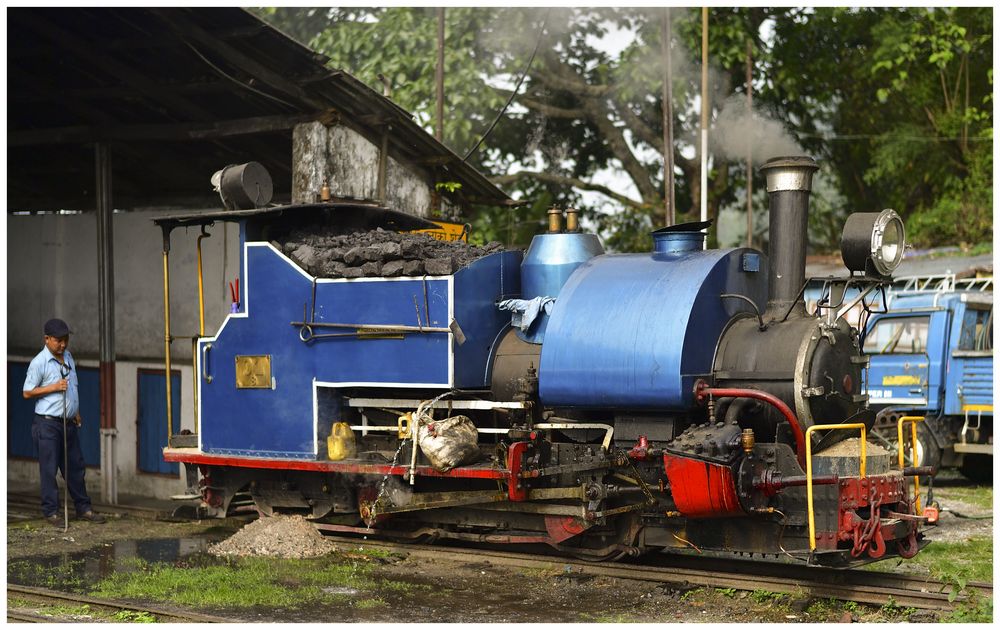 Tindharia Loco Shed III