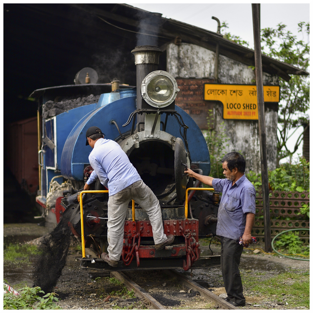 Tindharia Loco Shed V