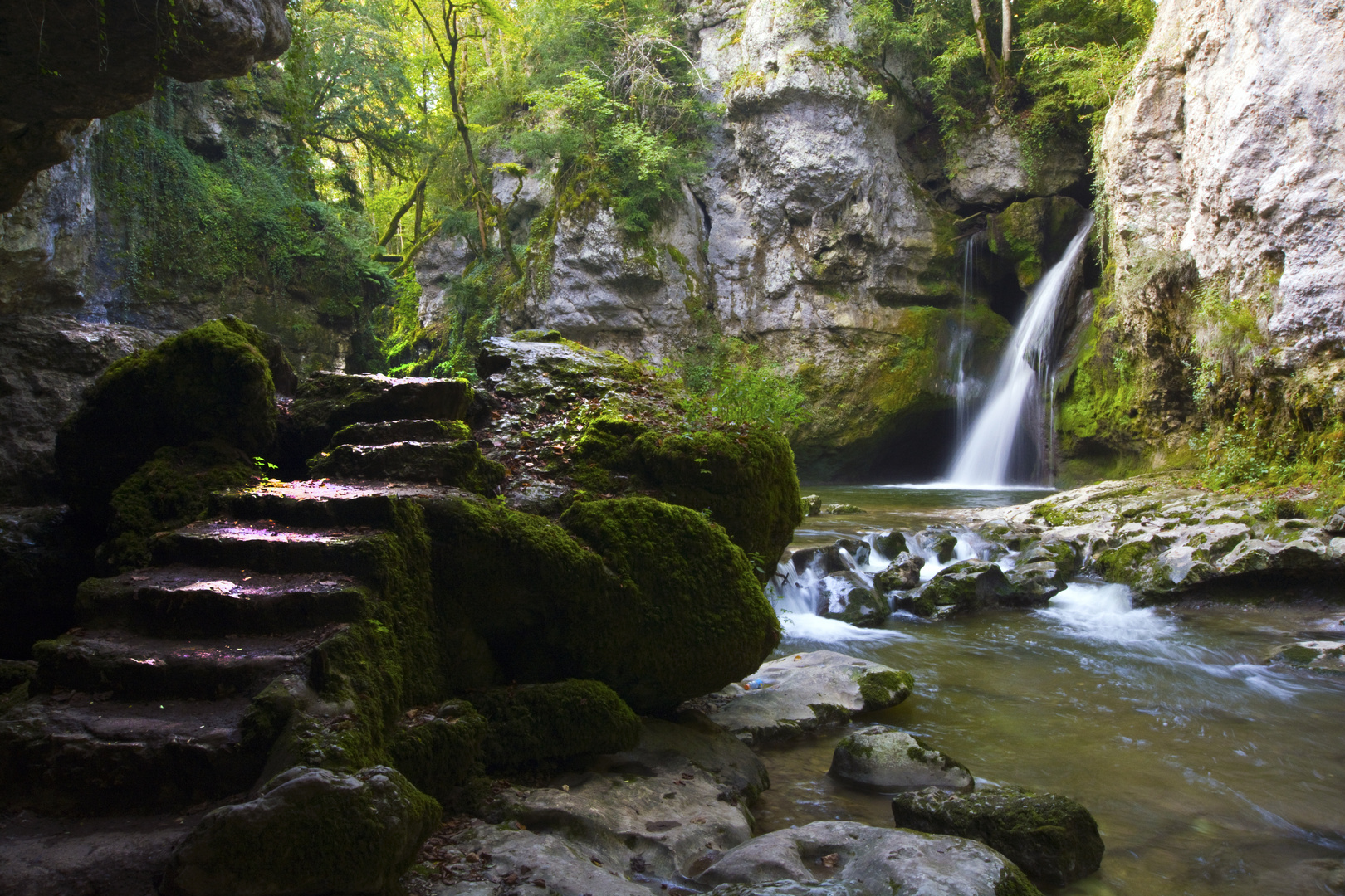 Tine de Conflens 01