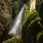 Tine de Conflens 02