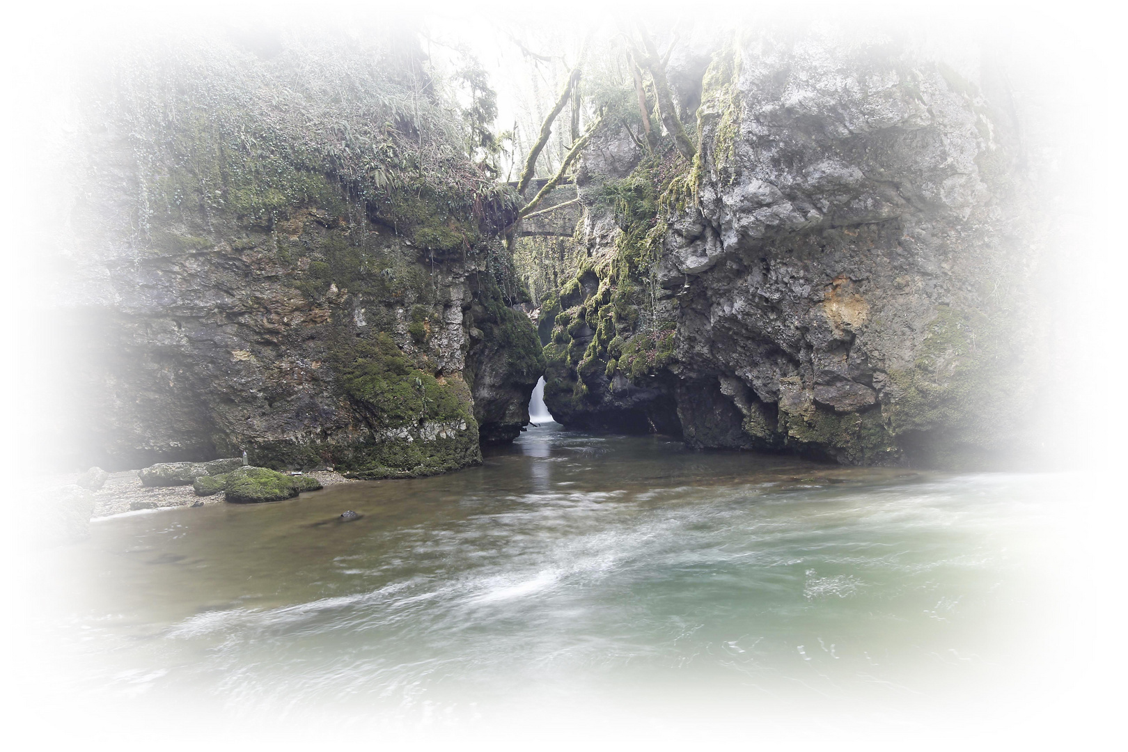 Tine de Conflens