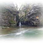 Tine de Conflens