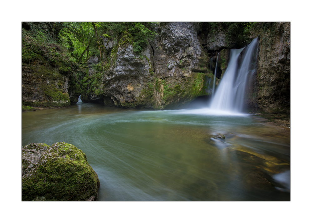 Tine de Conflens