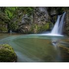 Tine de Conflens