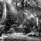 Tinguelys Wasserspiele